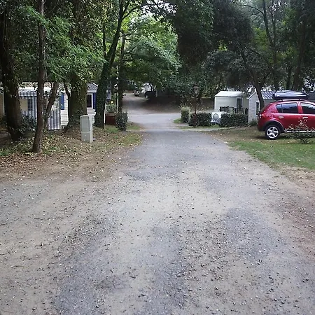 شاليه Locations Vacances Les Pierres Couchees سانت-بريفين-لي-بان
